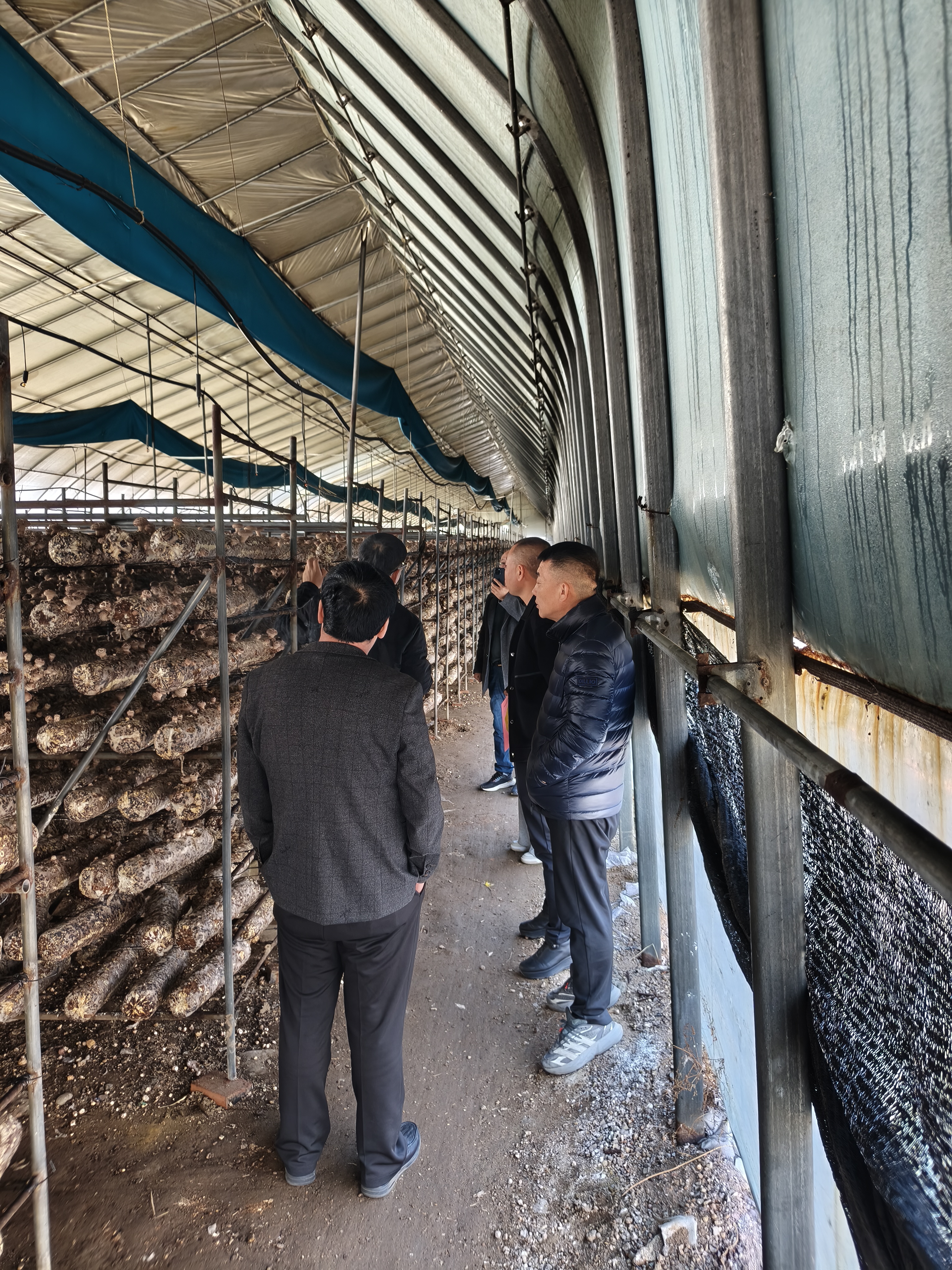 山庄燕塞菌业迎宾客 共绘产业新蓝图